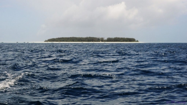 Mnemba, Zanzibar
