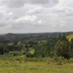 view from crater lake, Nyakasura, near Fort Portal