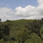 crater lake, Nyakasura, near Fort Portal
