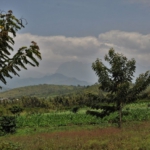 towards Queen Elizabeth National Park
