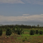 towards Queen Elizabeth National Park