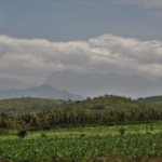 towards Queen Elizabeth National Park