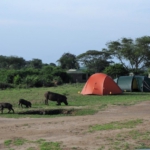 Queen Elizabeth National Park, Mweya