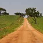 Ishasha to Lake Bunyonyi