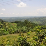 Ishasha to Lake Bunyonyi