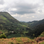 Ishasha to Lake Bunyonyi