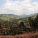 Ishasha to Lake Bunyonyi