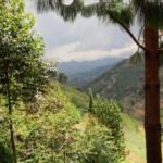 Ishasha to Lake Bunyonyi