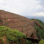 fields after tree cutting, Ishasha to Lake Bunyonyi