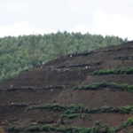 plowing fields, Ishasha to Lake Bunyonyi