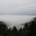 towards Bwindi Impenetrable Forest