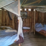 At the River Camp, Ishasha