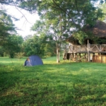 At the River Camp, Ishasha