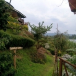 Lake Bunyonyi Rock Resort