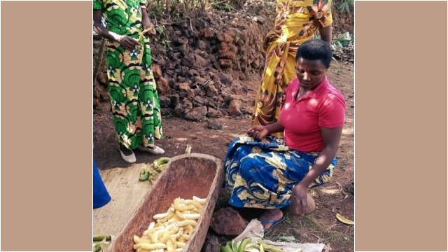 preparing urwagwa (banana beer), Redrocks Camp, Nyakinama near Musanze aka Ruhengeri, Rwanda
