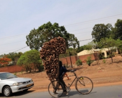 Malawi