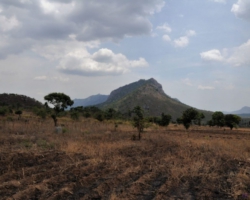 Malawi