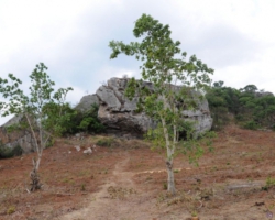 Chentcherere rock art, near Dedza, Malawi
