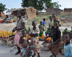 Mango season, Malawi