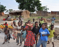 Mango season, Malawi