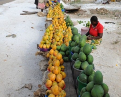 Mango season, Malawi