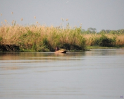 Liwonde National Park, Malawi