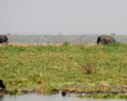 Liwonde National Park, Malawi