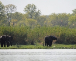 Liwonde National Park, Malawi
