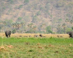 Liwonde National Park, Malawi