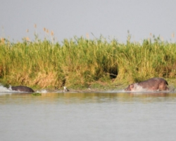 Liwonde National Park, Malawi
