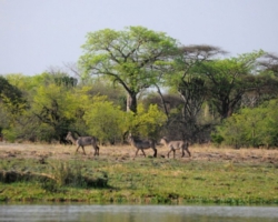 Liwonde National Park, Malawi