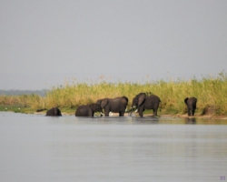 Liwonde National Park, Malawi