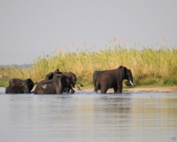 Liwonde National Park, Malawi
