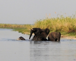 Liwonde National Park, Malawi