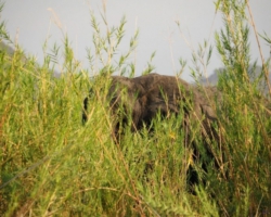 Liwonde National Park, Malawi