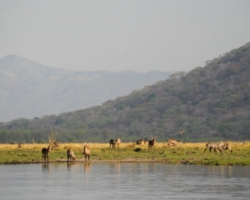 Liwonde National Park, Malawi