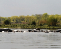 Liwonde National Park, Malawi