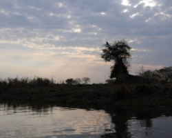 Liwonde National Park, Malawi
