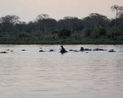 Liwonde National Park, Malawi
