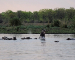 Liwonde National Park, Malawi
