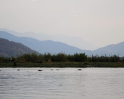 Liwonde National Park, Malawi