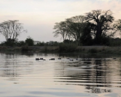 Liwonde National Park, Malawi