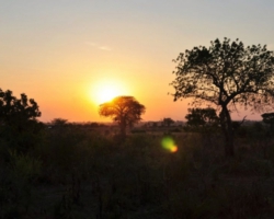 Safari Camp, Liwonde National Park, Malawi