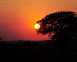 Safari Camp, Liwonde National Park, Malawi