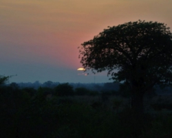 Safari Camp, Liwonde National Park, Malawi