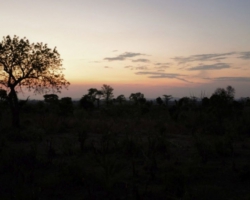 Safari Camp, Liwonde National Park, Malawi