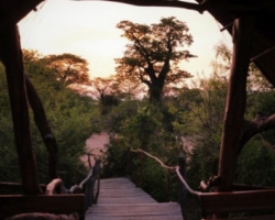 Safari Camp, Liwonde National Park, Malawi