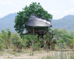 Safari Camp, Liwonde National Park, Malawi