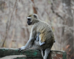 Lilongwe, Malawi