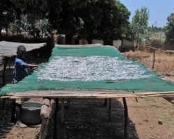 near Nkhotakota, Malawi
